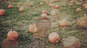 fall-calendar